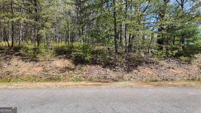 LOT 19 Heyden Ridge Dr, Home with 0 bedrooms, 0 bathrooms and null parking in Clarkesville GA | Image 15