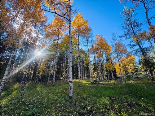 216620 Indian Springs Rd, Conifer, CO, 80433 | Card Image