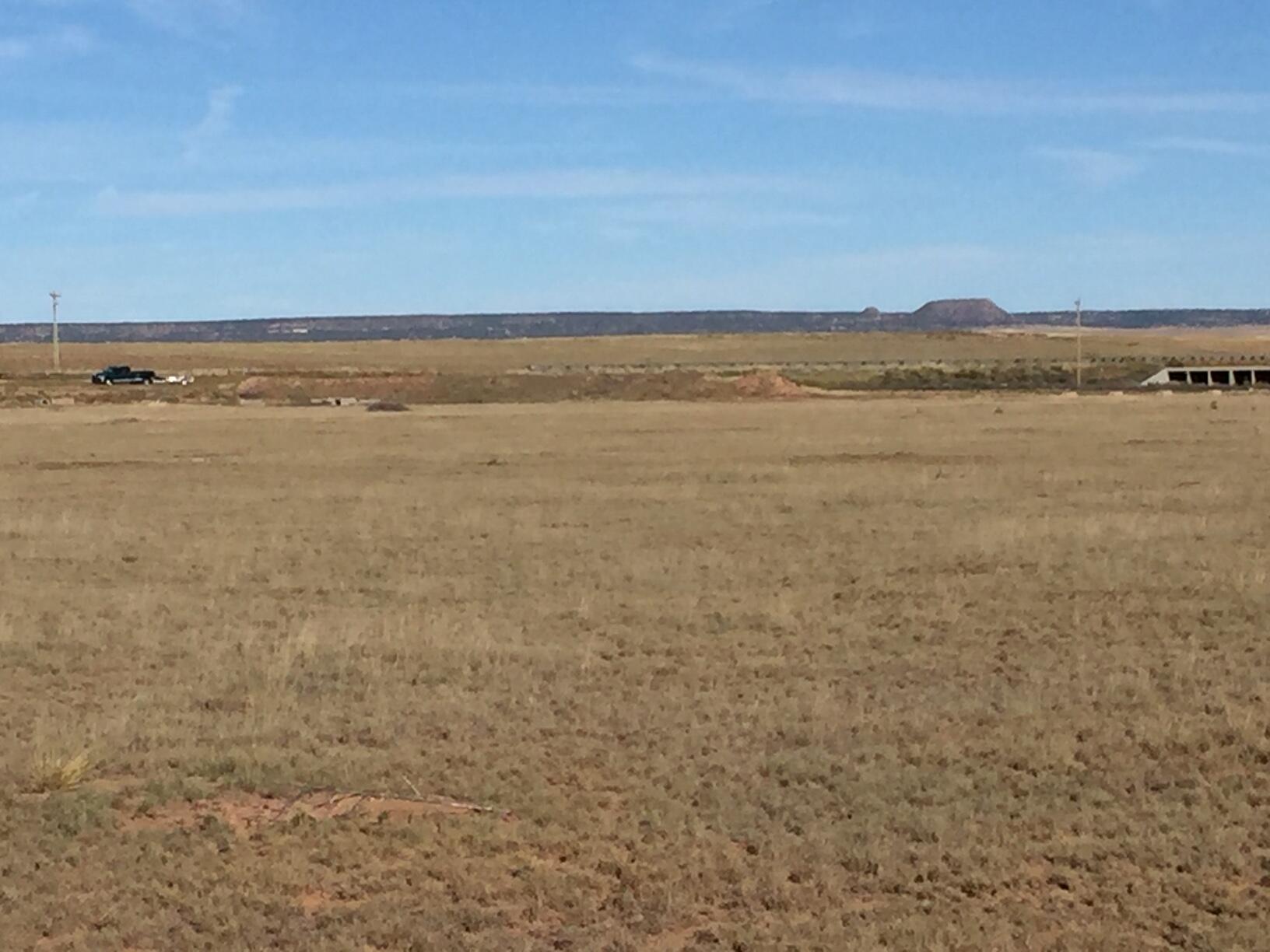 Land in Stanley 2