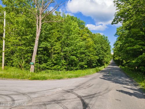 11 Peraglie Rd, Jefferson, NY, 12093 | Card Image