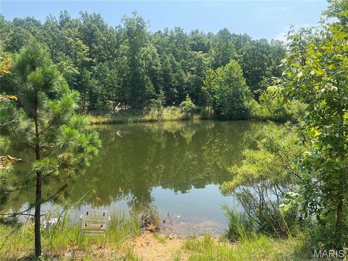 0000 County Road 341, Piedmont, MO, 63957 | Card Image