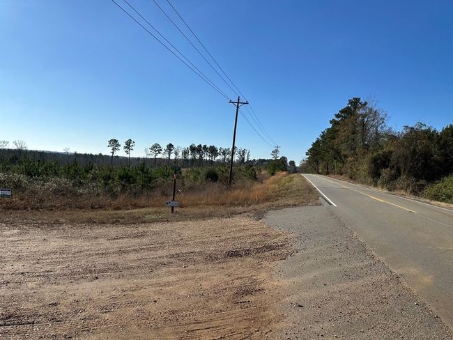 View of road | Image 4