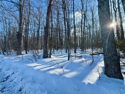 00 School Rd, Wabeno, WI, 54566 | Card Image