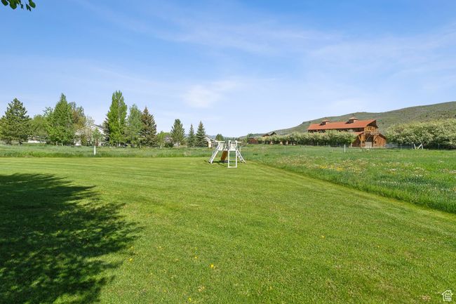 View of grassy yard | Image 61
