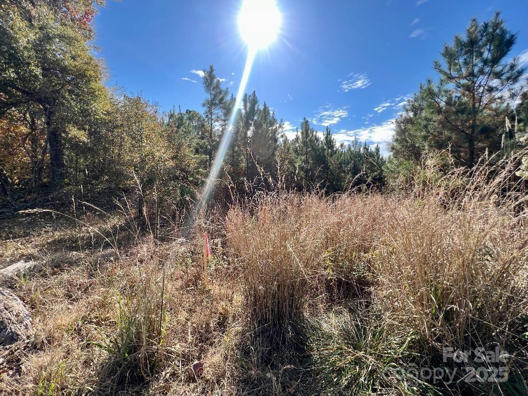 Land in Lancaster 4