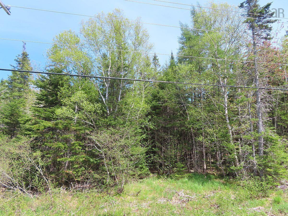 Land in Grantville 3
