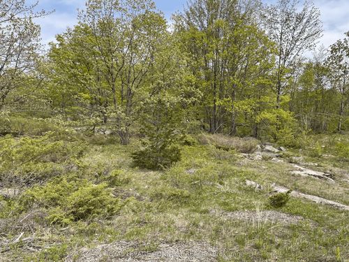 Pt Lt 12 Con 7 Kaladar N/A, Addington Highlands, ON, K0K1Z0 | Card Image