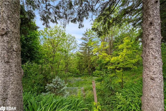 146 Rexway Dr, House other with 3 bedrooms, 3 bathrooms and 6 parking in Georgetown ON | Image 17