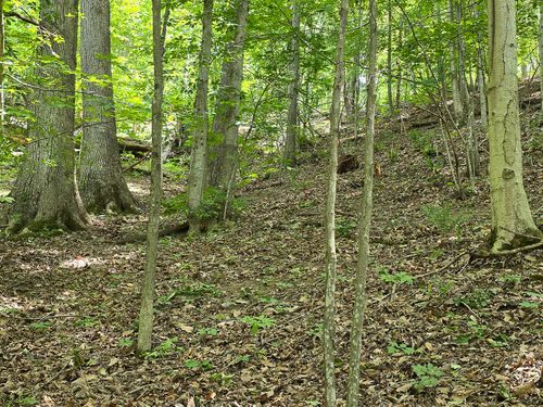 0 Ravens Ridge Rd, Pearisburg, VA, 24134 | Card Image