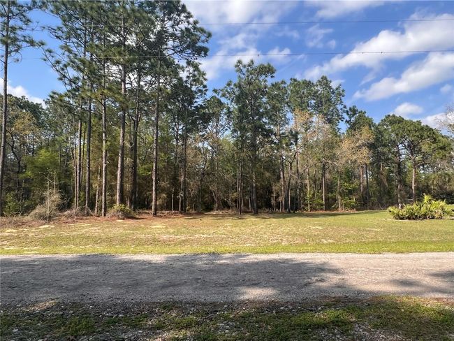 00 Sw 38th Place, Home with 0 bedrooms, 0 bathrooms and null parking in Ocala FL | Image 1