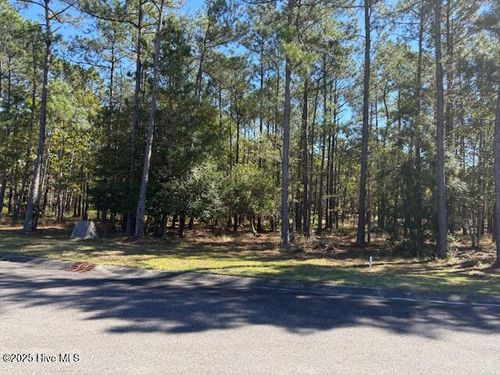 725-3002 Vera Cruz Cir Se, Bolivia, NC, 28422 | Card Image