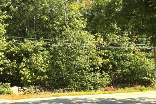 125 Topsfield Rd, Ipswich, MA, 01938-1647 | Card Image