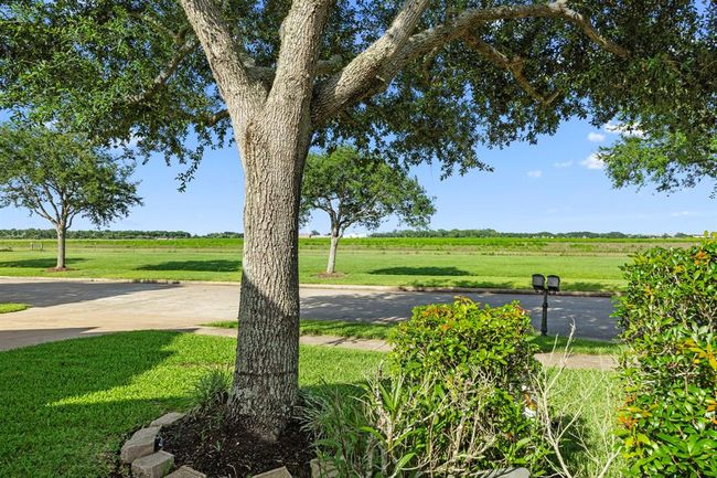 14214 Ayers Rock Rd, House other with 3 bedrooms, 2 bathrooms and 2 parking in Sugar Land TX | Image 35