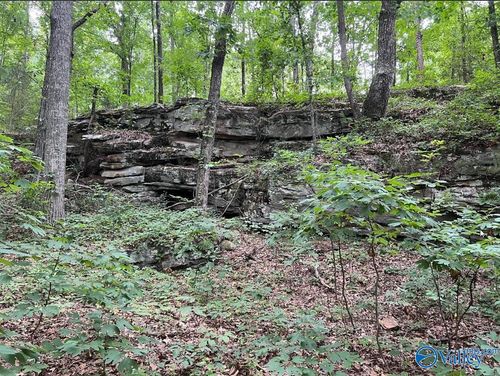 381 Worthington Ln, Guntersville, AL, 35976-7079 | Card Image