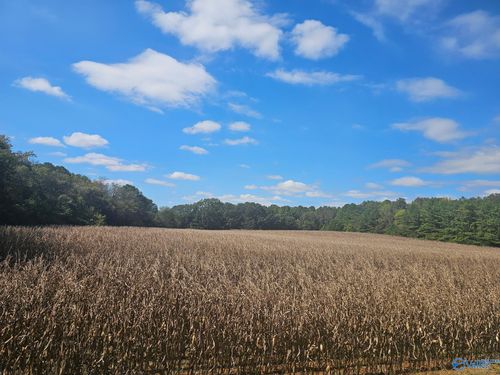 Lot 0 Landess Cir, Madison, AL, 35756 | Card Image