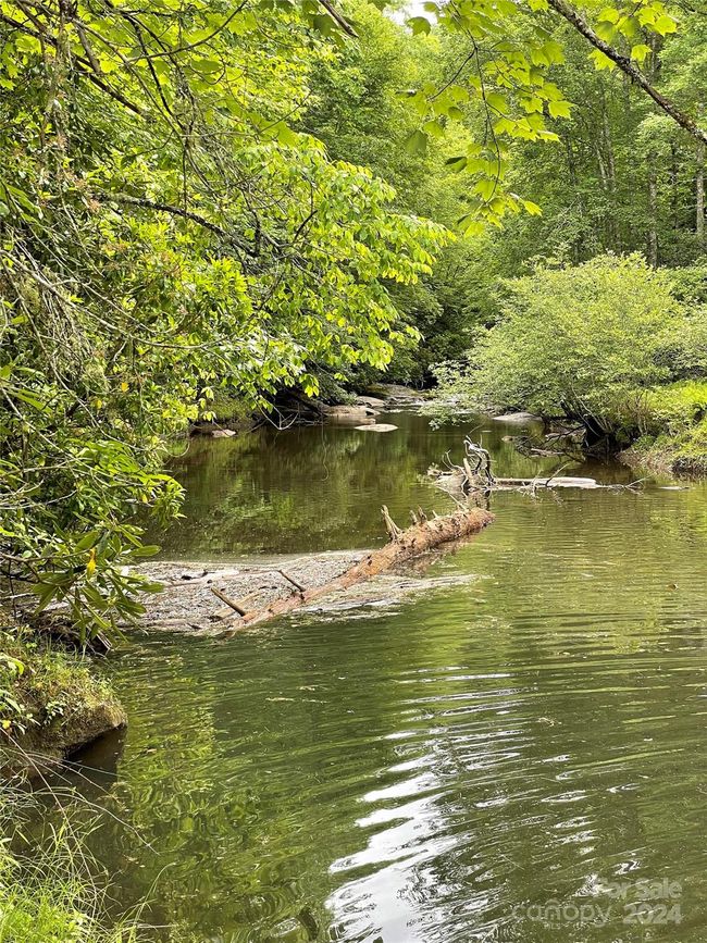 25 - 25 Rainbow Trout Dr, Home with 0 bedrooms, 0 bathrooms and null parking in Tuckasegee NC | Image 14