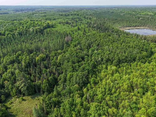 121.49 Acres Forest Road 602, CHIPPEWA, WI, 54514 | Card Image