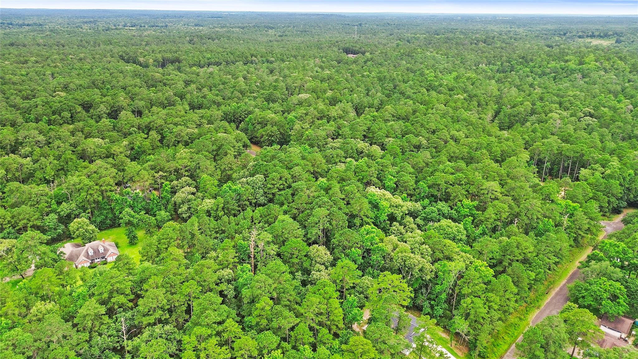 Land in Huntsville 5