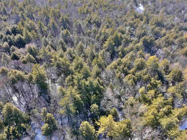 1 - 0 Old Ledge Road, Home with 0 bedrooms, 0 bathrooms and null parking in Westminster VT | Image 10