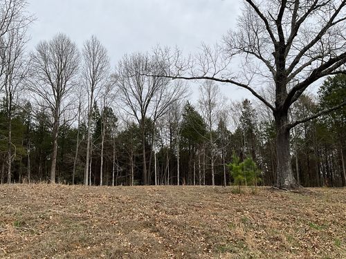 305 Pecan Pt, Goreville, IL, 62939 | Card Image