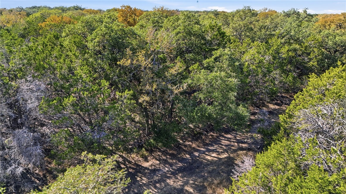 Land in Spring Branch 2