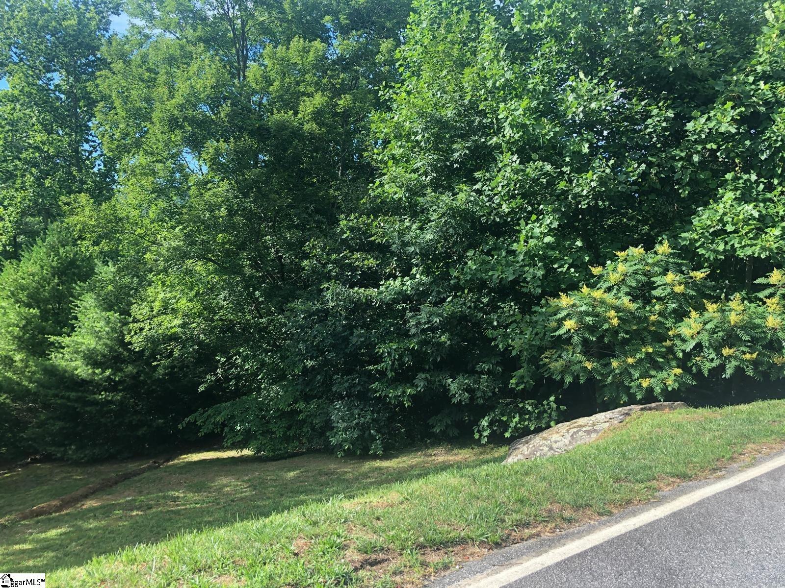 Land in Landrum