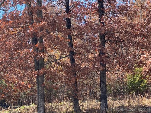 704 Woodlands Dr, Tahlequah, OK, 74464 | Card Image