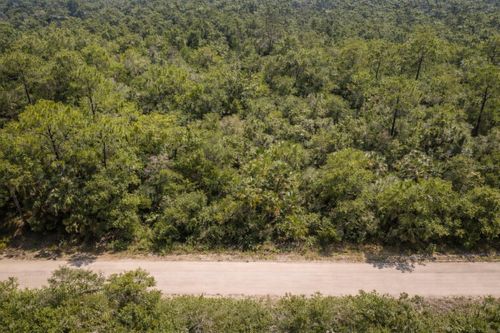 823 Durmon Avenue, LAKE PLACID, FL, 33852 | Card Image