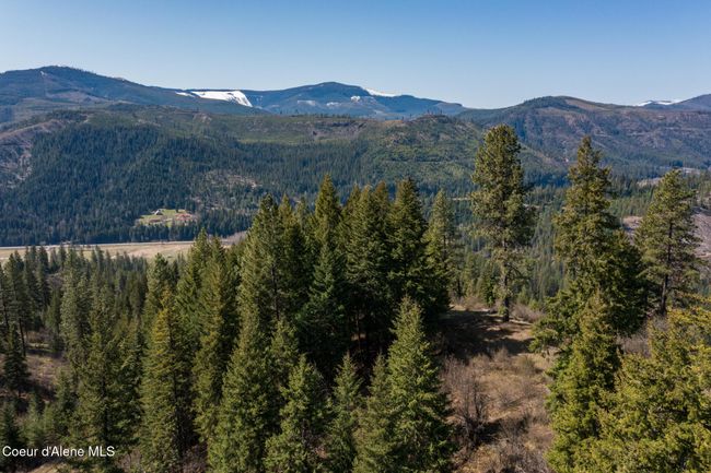 262 North Side Road, Home with 0 bedrooms, 0 bathrooms and null parking in Calder ID | Image 36