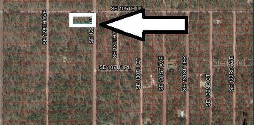 Lot 1 Se 129th Ct, Dunnellon, FL, 34431 | Card Image