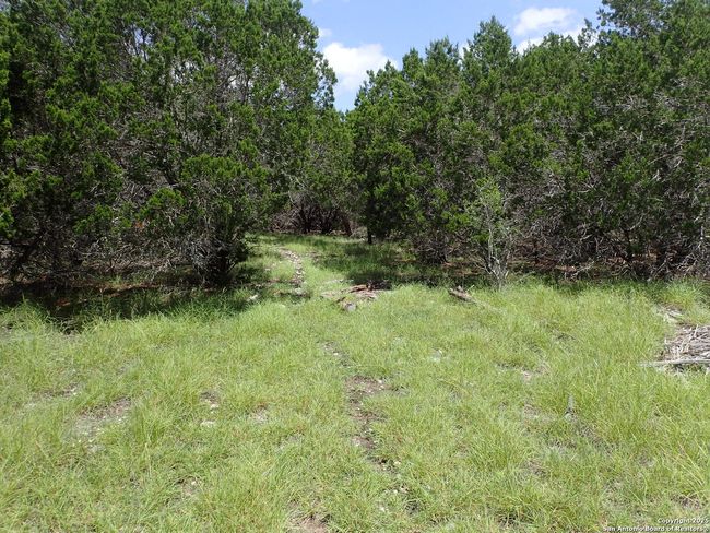 21 Tracie Trl, Home with 0 bedrooms, 0 bathrooms and null parking in Pipe Creek TX | Image 8