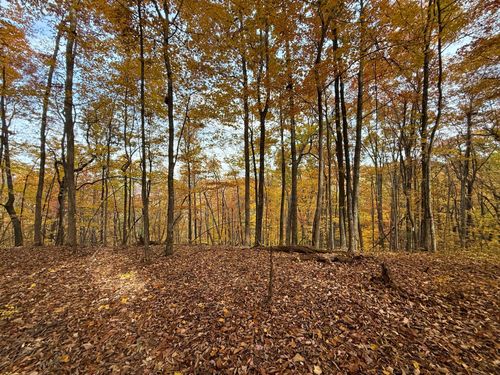 540 Cumberland Cove Rd, Monterey, TN, 38574-2701 | Card Image