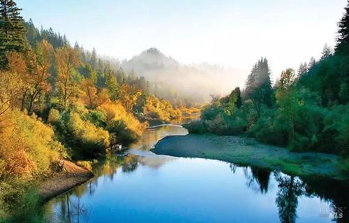 2491 Riverview Dr, Healdsburg, CA, 95448-4565 | Card Image