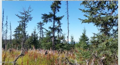 000 Wild Cotton Rd, Anchor Point, AK, 99556 | Card Image