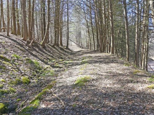 5565 Beech Hill Road, Andes, NY, 13731 | Card Image
