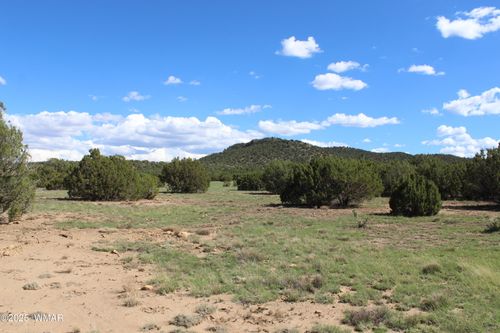 10 County Road 3044, Concho, AZ, 85924 | Card Image