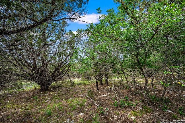 200 Countless Views Dr N, Home with 0 bedrooms, 0 bathrooms and null parking in Kerrville TX | Image 14