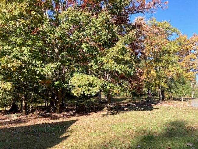 9840 Route 36, House other with 3 bedrooms, 3 bathrooms and 2 parking in Sigel PA | Image 43