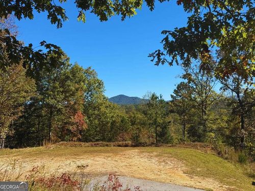 LOT 1 Brasstown, Brasstown, NC, 28902 | Card Image