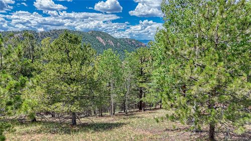 24 Wild Horse Circle, Cripple Creek, CO, 80813 | Card Image