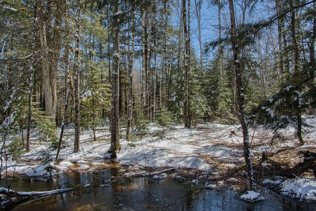 160-acre Pleasant Lake Rd, Home with 0 bedrooms, 0 bathrooms and null parking in Upson WI | Image 7