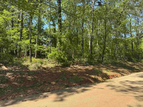 TBD Paradise Ln, Flint, TX, 75762 | Card Image