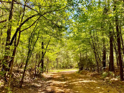 889 Fuller Cemetery E-2 Road, Minden, LA, 71055 | Card Image