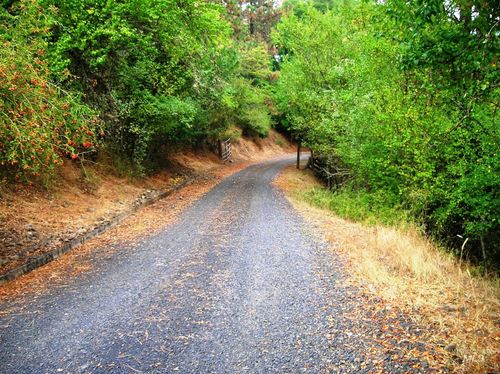 307 Locust Rd, Kamiah, ID, 83536-5261 | Card Image