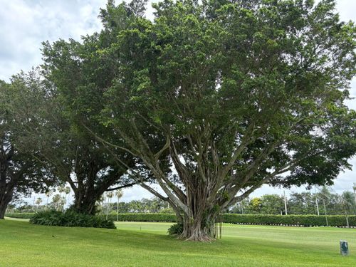 110-9820 S Hollybrook Lake Dr, Pembroke Pines, FL, 33025-1618 | Card Image