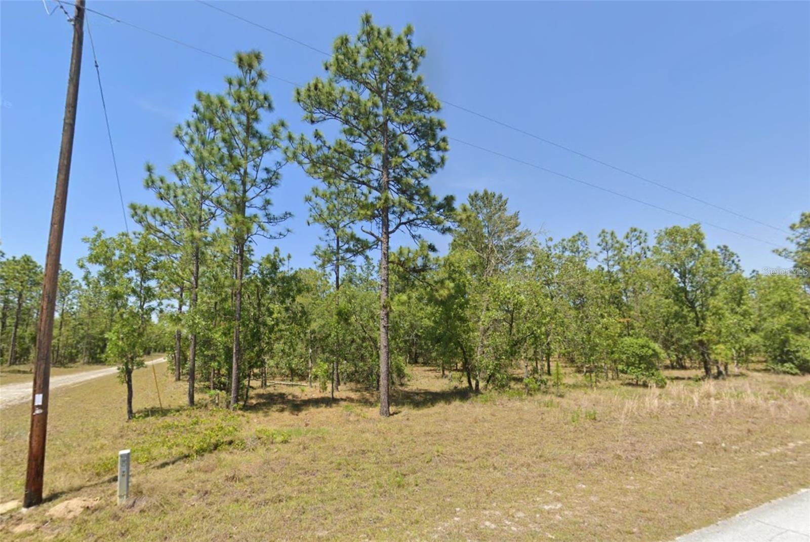 Land in DUNNELLON