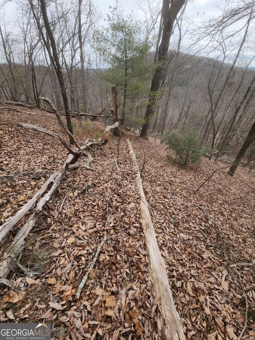 LOT #14 Little Eagle Mountain Rd, Clarkesville, GA, 30523 | Card Image