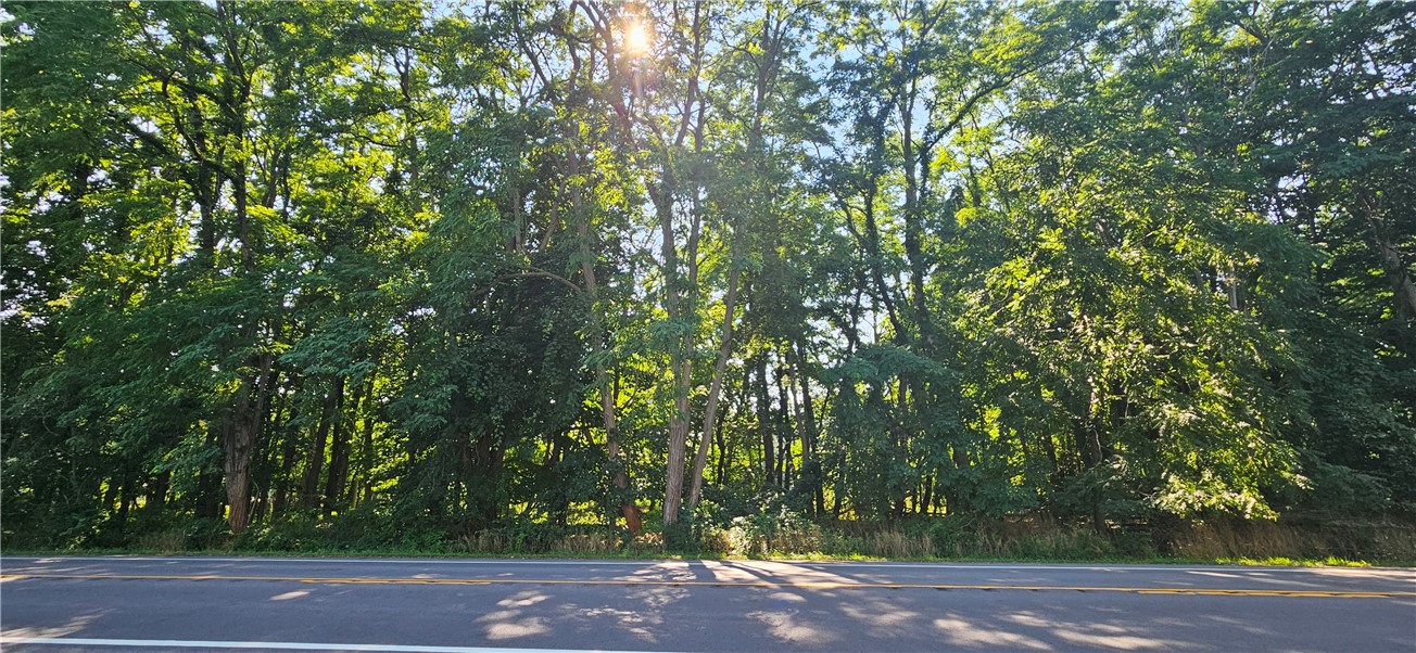 Land in Webster 4
