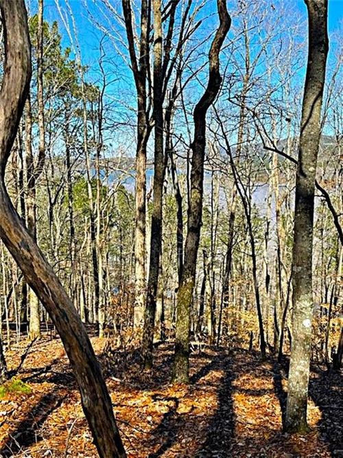 0 Overlook Dr, Chatsworth, GA, 30705 | Card Image
