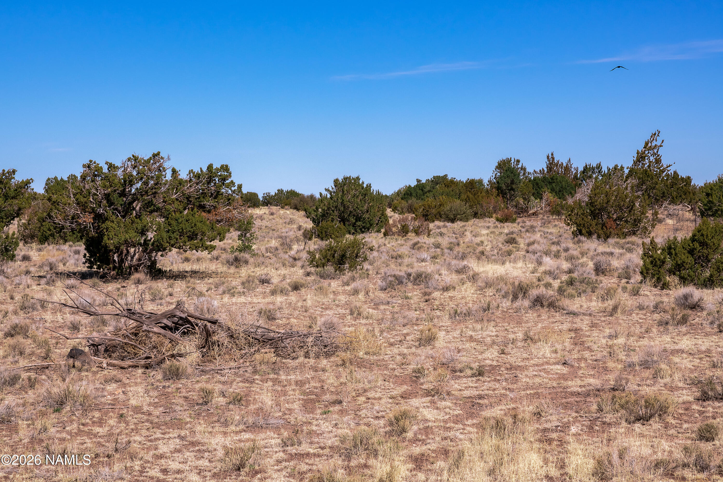 Land in Seligman 2